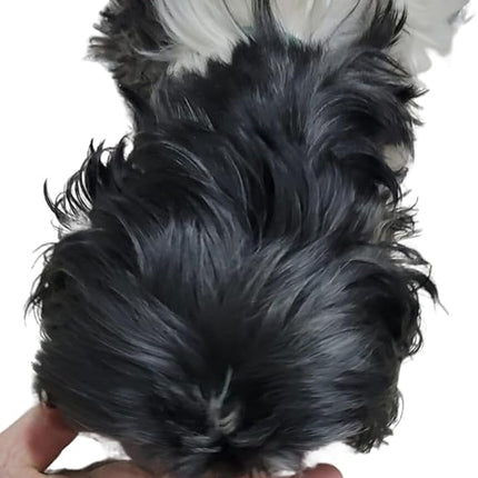 hotspot pets Freeze Dried Lamb Heart Treats for Cats & Dogs - 1LB Big Bag- Single Ingredient All Natural Grain-Free - Perfect for Training, Healthy Topper or Snack - Made in USA