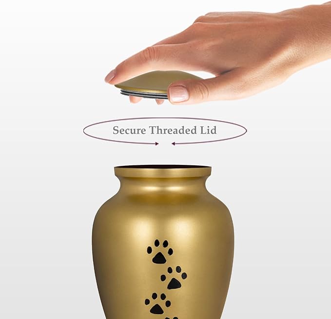 Trupoint Memorials Small Pet Urn for Dogs and Cats Ashes, Paws Print Gold Cremation Urns for Pets up to 17 lbs