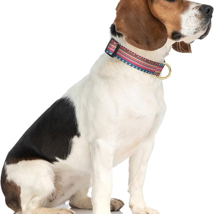 Rnivvi Dog Collar for Medium Dogs, Cute Boho Heavy Duty Adjustable Puppy Collar with Quick Release Buckle for Girl & Female, Pet Accessories for Walking Running, M Length 1" Width, Geometric