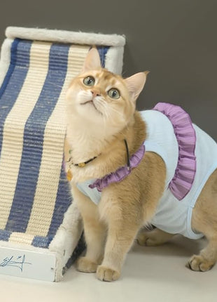 Cat Recovery Suit,Kitten Onesie After Surgery,E-Collar Alternative for Abdominal Wound and Skin Diseases,Soft Breathable Bodysuit After Spay（Blue-XL）