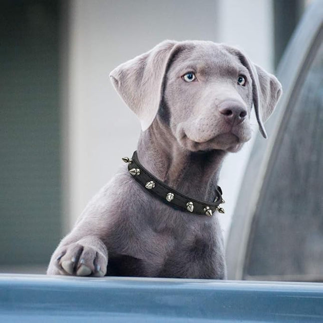 Enjoying Spiked Dog Collar, Leather Spikes Dog Collars for Medium Large Dogs, Adjustable Pet Collar with Rings, Black L