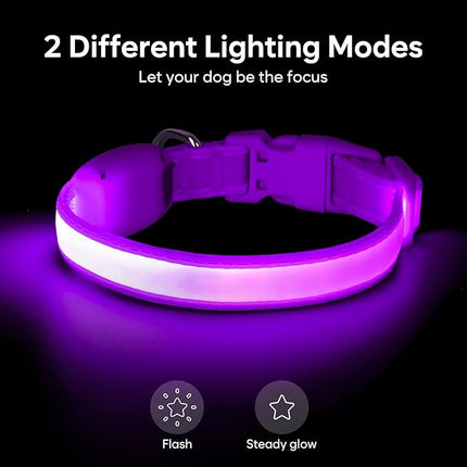 Light up Collar for Small Dog,Vizpet XS Adjustable Size Nylon Collar USB Rechargeable Bright Safety Pet Collar for Cats Small Dogs(Purple, X-Small[ 8.66-11.9 inch/22cm-30cm])