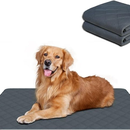 RIOUSSI Washable Pee Pads for Dogs, Reusable, Absorbent, Leakproof, Non Slip Pet Puppy Pads for Potty Training. Dark Gray, 24x36 Inch(2pack)