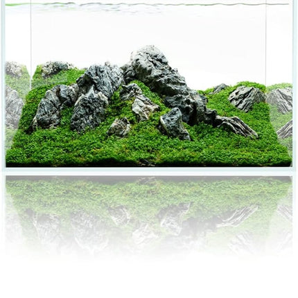 Fzone 10 Gal Rimless Low Iron Fish Tank Nova Clear Ultra-White 45° Mitered Edges Translucent Glass Anata Series Aquarium w/Black Foam Leveling Mat(S45-W30)