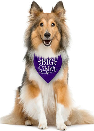 Big Sister Dog Bandana, Purple Dog Bandana, Pet Scarf Accessories, Pet Triangle Scarf, Dogs Bandanas for Small Medium Dogs (M)