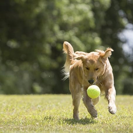 PetSport Mega Tuff Ball - Mega Tennis Balls for Large Dogs, Great for Boredom & Aggressive Chewers, Dog Toy, Mega Tennis Balls for Large Dogs, Certified Non-Toxic, Won't Wear Down Teeth - 6"