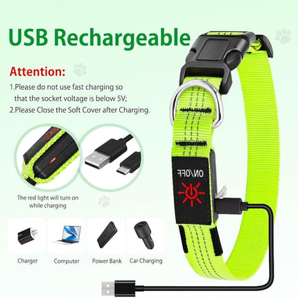 Light Up Dog Collars - USB Rechargeable Reflective LED Dog Collar, Water-Resistant Glow Pet Collar Lights for Night Walking Camping (Green, Medium)