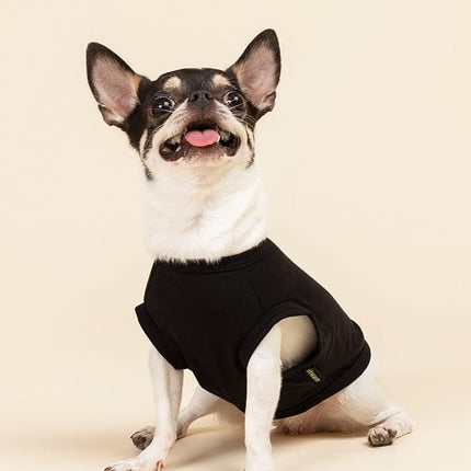 Fitwarm Happy St Patricks Day Dog Clothes, Summer Dog Clothes for Small Dogs Boy Girl, Funny Dog Tshirt, Lightweight Breathable Cotton, Pet Cat Outfit, Black, Green, Large