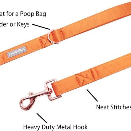 Lionet Paws Dog Leash - Silk Orange Leash for Small Medium Large Dogs Matching Collar for Girl and Boy