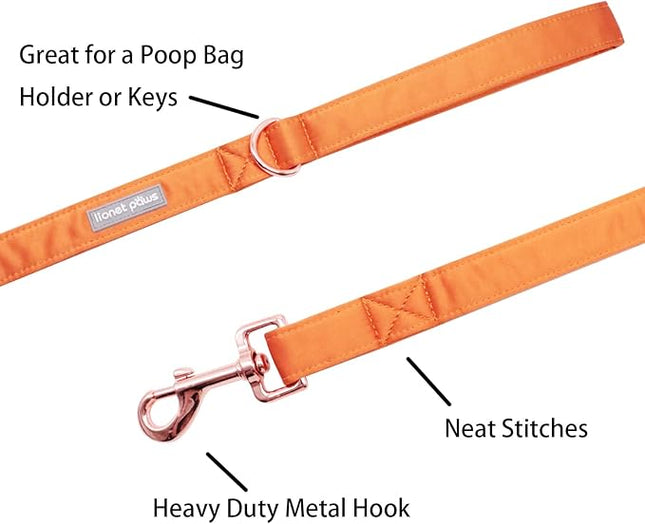 Lionet Paws Dog Leash - Silk Orange Leash for Small Medium Large Dogs Matching Collar for Girl and Boy