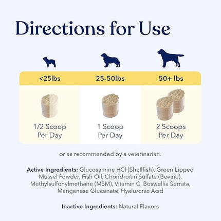 Honest Paws Joint Supplement for Dogs - Supports Mobility, Hip & Joint Health, Eases Stiffness - Glucosamine, Green Lipped Mussel, Fish Oil, Chondroitin Sulfate, MSM, Vitamin C