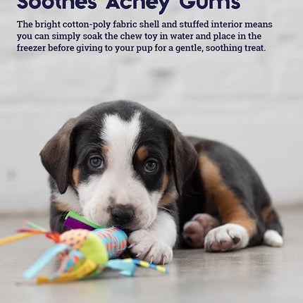 Petstages Cool Teething Stick for Dogs - Soothing Chew Toy for Teething Puppies - Freezable for Added Relief - Durable & Safe Dental Aid, Multicolor, One-Size