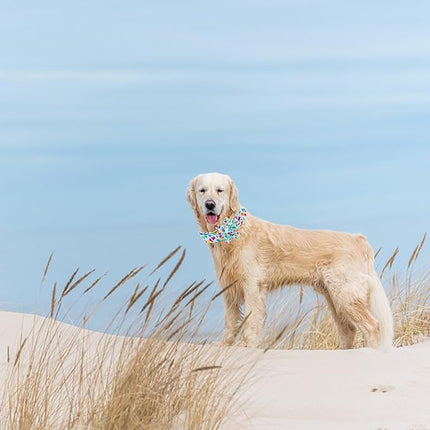 Elegant little tail Dog Collar, Dog Collar with Flower Boy Girl Pet Collar Flowers Soft Durable Dog Flower Collar for X-Large Dogs