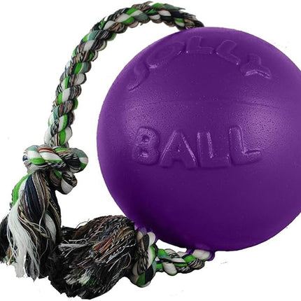 Jolly Pets Romp-n-Roll Rope and Ball Dog Toy, 4.5 Inches/Small, Blueberry for All Breed Sizes