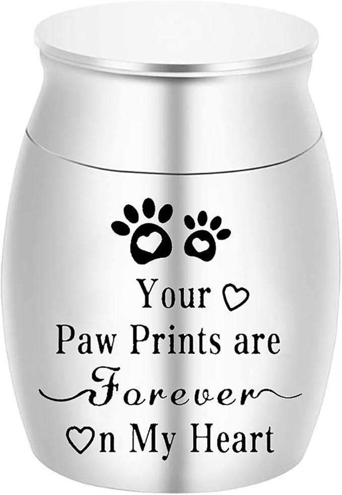 Small Pet Urns for Dogs Ashes Mini Urn Dog Ashes Cremation Keepsake Pet Memorial Urns Gift，Silver