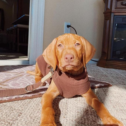 Gooby Stretch Fleece Vest Dog Sweater - Brown, X-Large - Warm Pullover Super Stretchy Fleece Dog Jacket for Small to Large Dogs