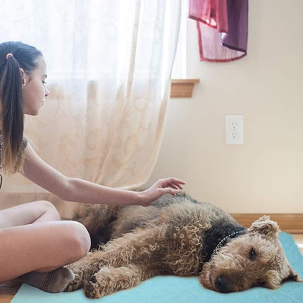 KOOLTAIL Washable Pee Pads for Dogs - Waterproof Dog Mat Non-Slip Puppy Potty Training Pads, Reusable Whelping Pads for Dog Crate PlayPen