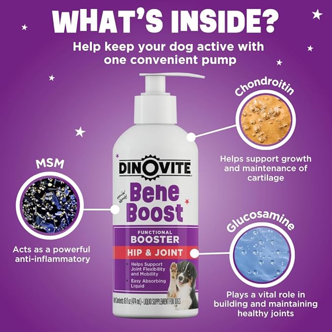 Dinovite BeneBoost Hip & Joint Liquid Topper for Dogs, Dog Joint Supplement with Glucosamine, Chondroitin, MSM & Hyaluronic Acid, Dog Mobility Support, Bacon Flavor, 6 fl oz