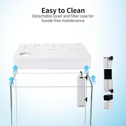 Small Fish Tank,5 Gallon Glass Aquarium Betta Fish Tank Starter Kit with Filter and LED Light.（White）