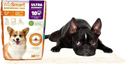 WizSmart Heavyweight Dog Pee Pads for Large Dogs, Puppies, Seniors – Ultra Absorbent, Leak Proof, Odor Control, Quick Dry, Training Pads with Stay Put Tabs – 23.5" x 22", 10 Cup Capacity