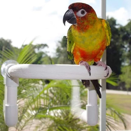 Bird Parrot Shower Perch (Small Round