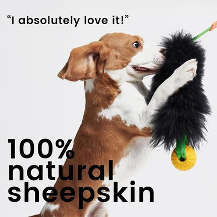 HOWGO Dog Rope Toy,Dog Bungee Chaser Toy 100% Sheepskin,Sheep Smell Tug Toy for All Breeds (Black, Short Without Ball)