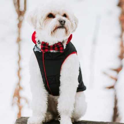 Gooby Sports Vest Dog Jacket - Black, Small - Reflective Dog Vest with D Ring Leash Warm Fleece Lined Hook and Loop Closure for Small to Medium Dogs