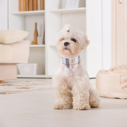EXPAWLORER Puppy Collar and Leash Set - Classic Plaid Small Dog Collar with Bow Tie, Cute Dog Collar and Leash Set, Adjustable Dog Collar for Small Dogs Cats Holiday Birthday Gifts, Beige X-Small