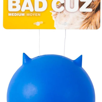 JW Pet Bad Cuz Dog Toy, Assorted Colors,Medium, Multi (43168) (Pack of 4)
