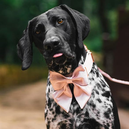 Lionet Paws Bowtie Dog Collar - Comfortable Silk Dog Collar with Detachable Bow Tie for Medium Dogs, Neck 13.5-22 Inches