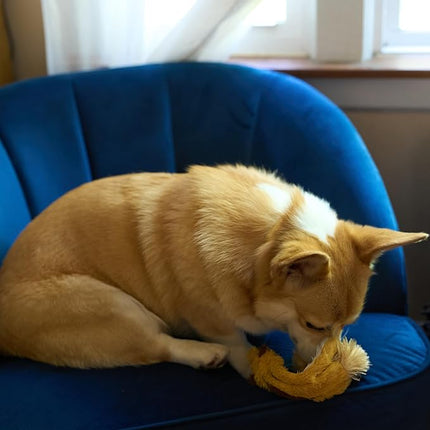 SPOT Skinneeez Fox – 14" Stuffing-Free Plush Squeaky Dog Toy for Small & Medium Dogs, Best for Light to Moderate Chewers, Mess-Free Play