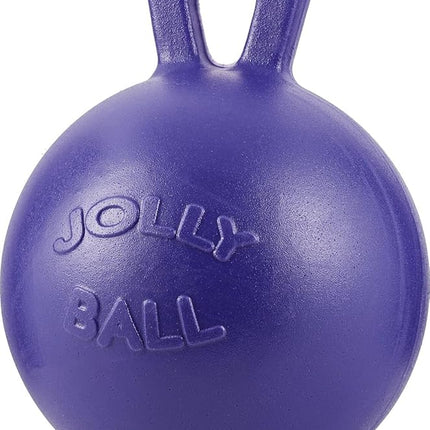 Jolly Pets Tug-n-Toss Heavy Duty Dog Toy Ball with Handle, 4 Inches/Petite, Purple (404 PR)