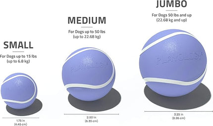 Playology Dog Toys | Squeaky Chew Ball - Bouncy Durable Floating Fetch Ball for Dogs | Medium Blueberry Scented Toy - Easy to Clean and Made from Non Toxic Materials