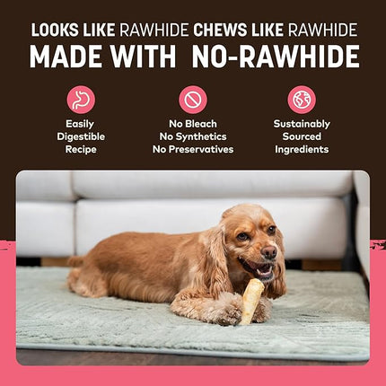 Earth Animal No Hide Chews - Long Lasting Rawhide Free Small Dog Chews Rolls, Salmon - 6 Count
