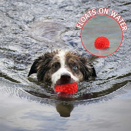 RHL Dog Squeaky Toys for Aggressive chewers Large Breed Balls Interactive Ball Toy Almost Indestructible Tough Durable Stick Medium Small Dogs Puppy Chew with Non-Toxic Natural Rubber