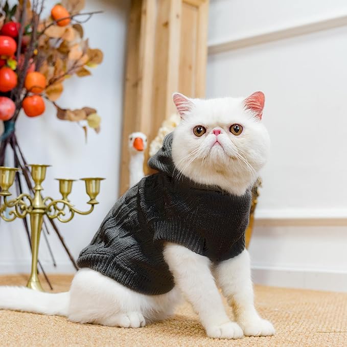PUPTECK Winter Dog Cat Sweater Coat - Soft Cold Weather Clothes Knitwear for Kitties & Small Dogs Indoor Outdoor Walking Warm, Knitted Classic for Doggies Kitties Girls Boys, Black M
