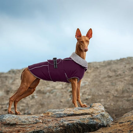 Lelepet Warm Dog Coat Waterproof Dog Jacket for Large Dogs Reflective Fleece Vest with Adjustable Buckle Hook & Loop Windproof Cold Weather Coats for Small Medium Large Dogs, Dark Purple, XXL