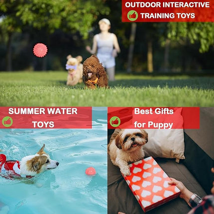 6 Pack Red Dog Chew Toys, Small Dog Teething Toys, Dental Health & Interactive Play