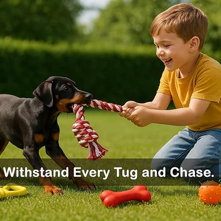 Jalousie Chew Toy Natural Rubber chew Toy for Interactive Play Toy Ball Rope Rubber Value Set for Small to Medium Breed Dog mutt Puppy