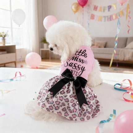 Little Miss Sassy Pants Dog Dress with Leopard Print Bowknot Dog Clothes for Small Medium Large Dogs Girls Boys Cats Outfit Apparel