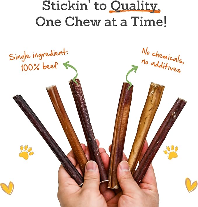 6 Inch Bully Sticks (Pack of 5) - 100% Beef, Odor Free Dog Chews for Aggressive Chewers - Long Lasting, Gluten-Free, Easy to Digest, High Protein & Rawhide Free Chews for Dogs