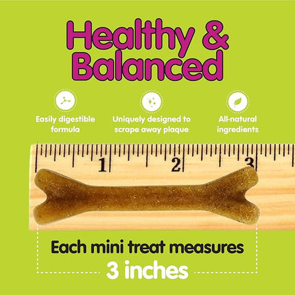 Fido - Belly Bones for Dogs, 100 Yogurt Flavor Mini Dog Dental Treats(100 Count) - Made in USA - For Extra Small Dogs - Plaque and Tartar Control for Fresh Breath, Digestive Health Support