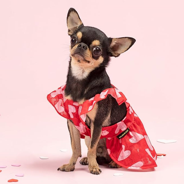 Fitwarm Valentine's Day Sweet Heart Dog Dress, Red & Pink, XXS