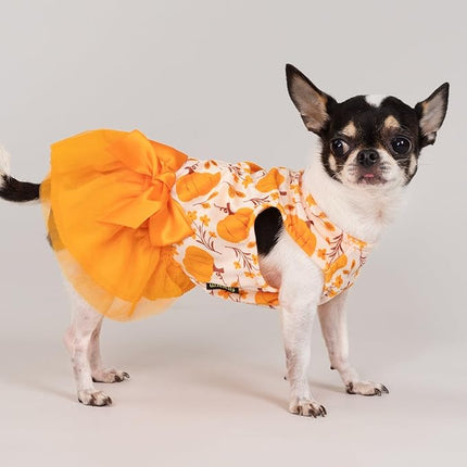 Fitwarm Pumpkin Flower Dog Dress, Thanksgiving Outfit for Small Dogs Girl, Fall Pet Outfit, Beige, Orange, XS