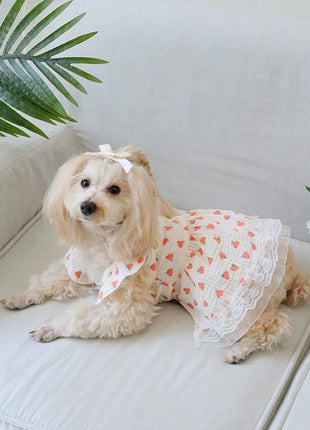 QWINEE Cute Flower Pattern Dog Dress Ruffle Trim Princess Dress Cat Vest Dress Lace Trim Summer Dress Pet Clothes for Small Medium Cats Dogs Kitten Puppy Pink L