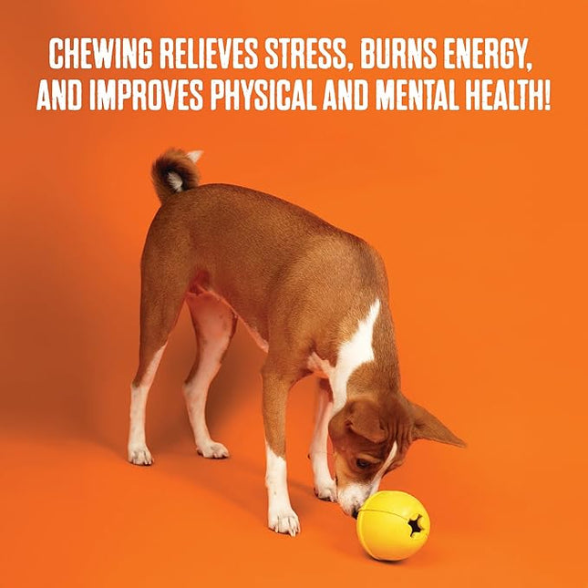 BULLYMAKE Red Tough Chew Steak Toy for Dogs, Durable Nylon Dog Toys for Aggressive Chewers, Dental Stimulating, Tough Chewers, Boredom Busting, Made in USA