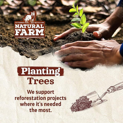 Natural Farm Odor-Free Bully Sticks, 7-Inch Long, 20 Count Bag, 100% Beef Pizzle Chew Treats for Medium & Large Dogs Dogs