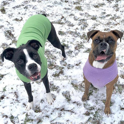 Gooby Stretch Fleece Vest Dog Sweater - Grass Green, 5X-Large - Warm Pullover Super Stretchy Fleece Dog Jacket for Small to Large Dogs