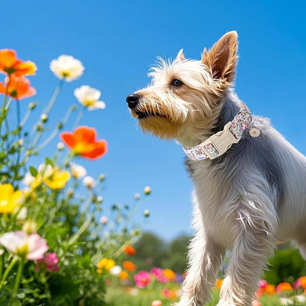 ARING PET Floral Dog Collar, Cute Purple Flower Spring Summer Pet Collars with Quick Release Buckle for Puppy Small Medium Large Boy Girl Dogs-M