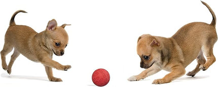 Snug Rubber Dog Balls for Small and Medium Dogs - Tennis Ball Size - Virtually Indestructible (3 Pack - Red)